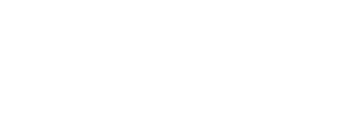 VirtuaVerse